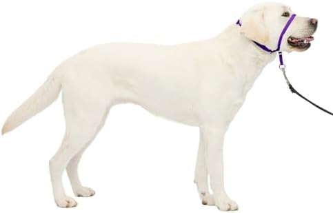 PetSafe Gentle Leader No Pull Dog Headcollar, Deep Purple by PetSafe