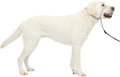 PetSafe Gentle Leader No Pull Dog Headcollar by PetSafe