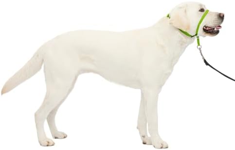 PetSafe Gentle Leader No Pull Dog Headcollar, Apple Green by PetSafe