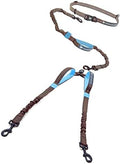 Pet Dreamland Exquisite Hands Free Dual Dog Leash by PetDreamland