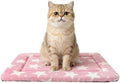 Cat & Dog Bed Mat by Unknown