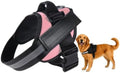 Dogshood No Pull Harness, Dogshood Harness by HuayoRong