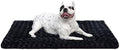 Exsnugy Washable Dog Bed Mat Medium Size Fluffy Pet Crate Pad 30x19 by Exsnugypetproducts