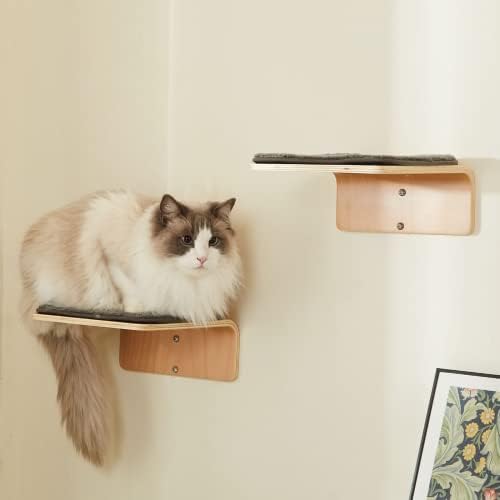 LIORCE 2 Set Cat Wall Steps by LIORCE