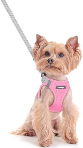rabbitgoo Dog Harness Small Sized and Leash Set, Step-in Puppy Pet Vest by rabbitgoo