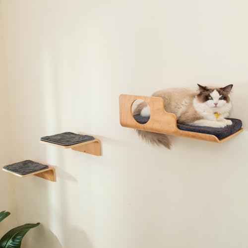 LIORCE Cat Wall Shelves with 2 Steps, Creative Design Cat Shelf with Peephole by LIORCE