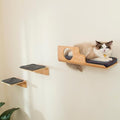 LIORCE Cat Wall Shelves with 2 Steps, Creative Design Cat Shelf with Peephole by LIORCE