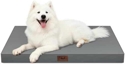 Large Waterproof Orthopedic Dog Bed by TailStories