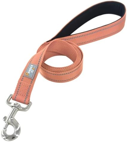 6 FT Basic Dog Leash for Medium Dogs - Image 3