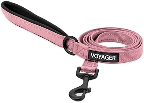 Best Pet Supplies Voyager Nylon Dog Leash - 6ft Pink by BestPetSuppliesLLC