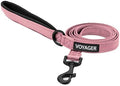 Best Pet Supplies Voyager Nylon Dog Leash - 6ft Pink by BestPetSuppliesLLC