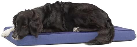 BarkBox Orthopedic Dog Bed by BARK