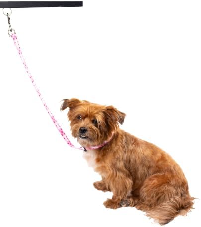 Country Brook Petz - Image 3