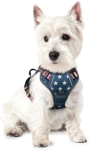rabbitgoo Dog Harness, No Pull for Small Dogs by rabbitgoo
