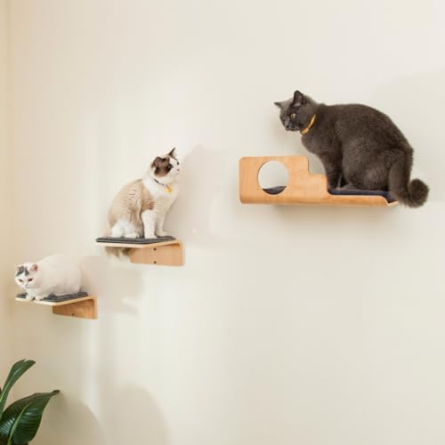 LIORCE Cat Wall Shelves with 2 Steps, Creative Design Cat Shelf with Peephole - Image 6