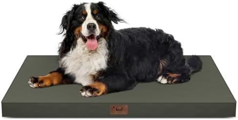 Outdoor Extra Large Dog Bed XXL by TailStories