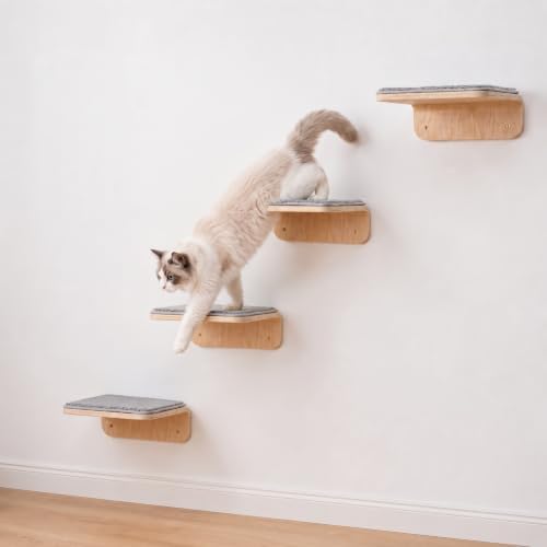 Wenqik 4 Pcs Cat Steps for Wall, Wooden Cat Climbing Shelf 10 x 10 x 4 Inch by Wenqik