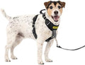 PetSafe Easy Walk Comfort No Pull Dog Harness by PetSafe