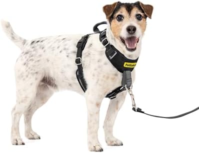 PetSafe Easy Walk Comfort No Pull Dog Harness by PetSafe