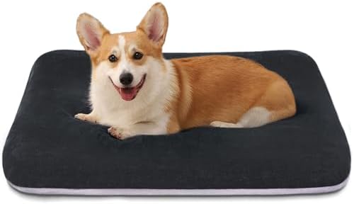 Magic Dog Orthopedic Medium Dog Bed 32 Inch, Super Soft Small Pet Bed by MagicDog