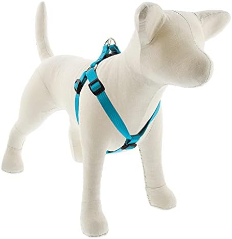 Lupine Small Dog Adjustable Step in Harness 3/4" Wide Aqua by LupinePet