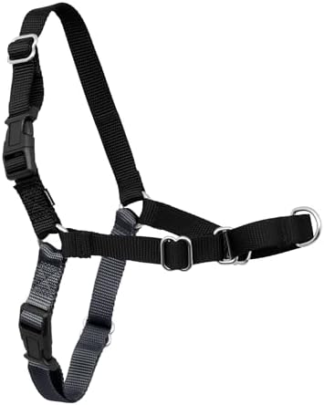 PetSafe Easy Walk Harness, No Pull Dog Harness, Charcoal Gray, Small/Medium by PetSafe