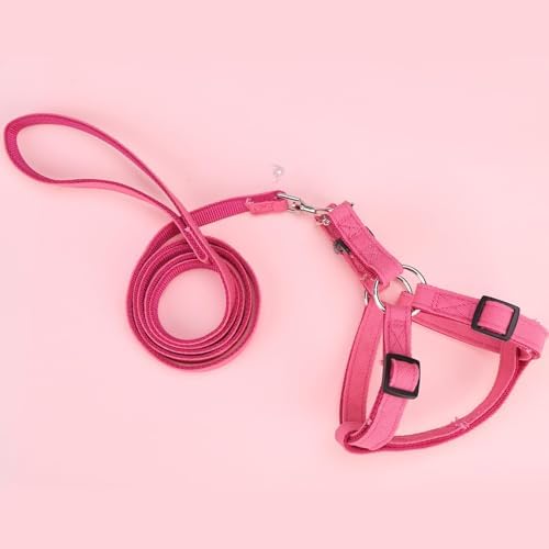 BINGPET No Pull Dog Harness and Leash Set, Adjustable Step-in Vest - Image 6