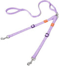 HOWGO Double Dog Leash, Tangle-Free 360 Swivel by HOWGO