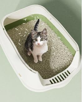 Large Covered Litter Box With Lid - Image 4