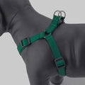 Dog Harness Easy to Use 2 Step Secure Safe Comfortable Firm No Struggle Pull by Unknown