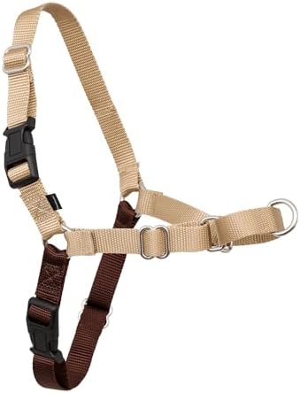 PetSafe Easy Walk Harness, No Pull Dog Harness, Medium/Large by PetSafe