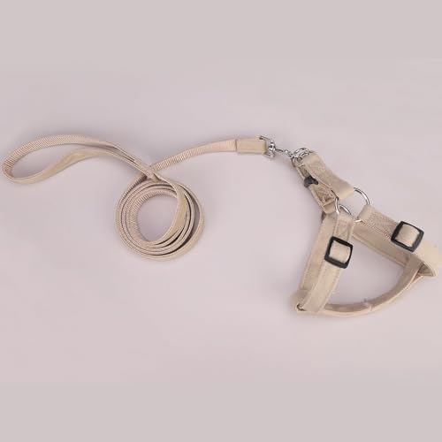 BINGPET No Pull Dog Harness and Leash Set, Adjustable Step-in Vest - Image 6