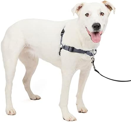 PetSafe Easy Walk Deluxe Dog Harness, No Pull Dog Harness – Perfect by PetSafe