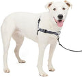 PetSafe Easy Walk Deluxe Dog Harness, No Pull Dog Harness – Perfect by PetSafe