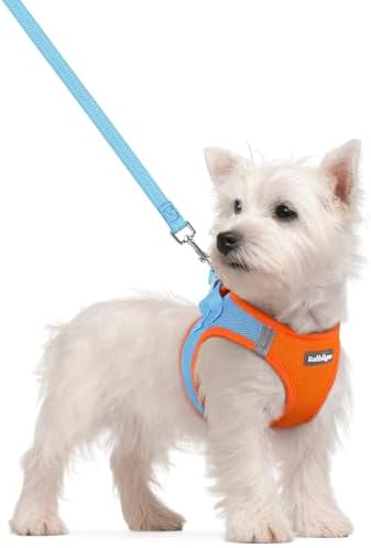 rabbitgoo Dog Harness Small Sized and Leash Set, Step-in Puppy Pet Vest by rabbitgoo