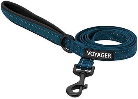Best Pet Supplies Voyager Nylon Dog Leash - 6ft Blue by BestPetSuppliesLLC
