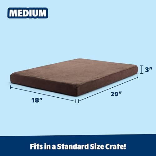 BarkBox Orthopedic Dog Bed - Image 3