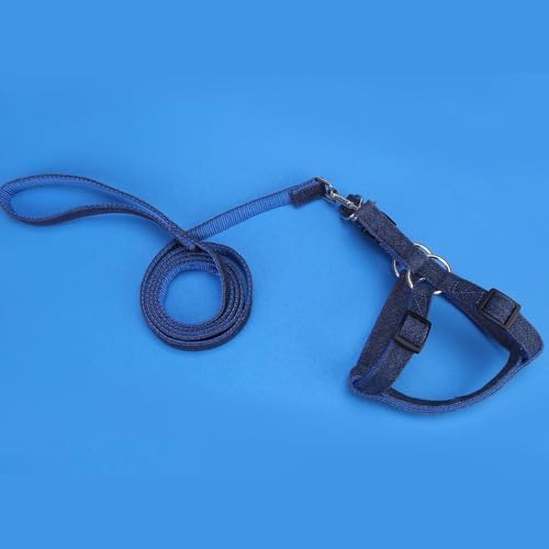 BINGPET No Pull Dog Harness and Leash Set, Adjustable Step-in Vest - Image 6
