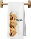 Funny Golden Retriever Bathroom Hand Towels 16x24 in, are You Pooping Dog by Unknown