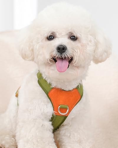 Green Medium Dog Harness for Medium Dogs, No Pull Dog Harness - Image 2