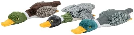 Best Pet Supplies Interactive Squeaky Dog Chew Toy, Ideal Dog Toys - Image 6