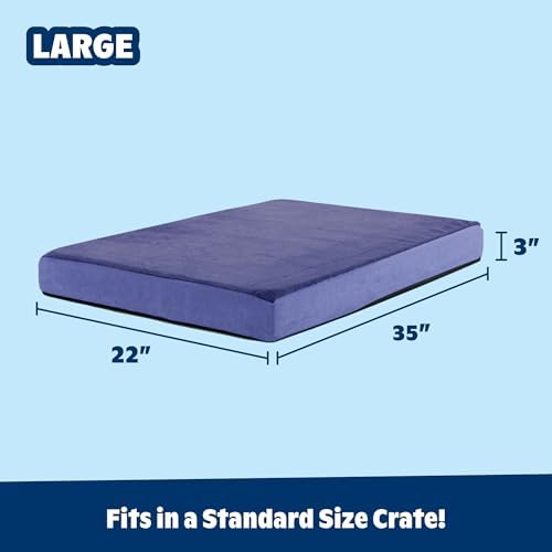 BarkBox Orthopedic Dog Bed - Image 3