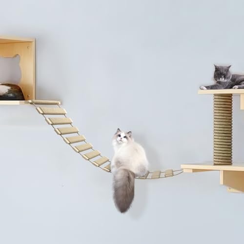 40in Cat Climbing Ladder & Bridge - Image 5