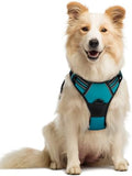 rabbitgoo Dog Harness, No Pull Medium Sized by rabbitgoo