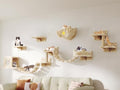 Cat Wall Furniture, 13 in 1 Moon & Bridge Cat Wall Shelves by Homiflex