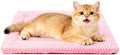 Dog Bed Mat, Reversible & Ultra Soft Kennel Pad-Machine Washable Pet Bed by SUNSHE