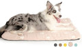 Mora Pets Dog Crate Pad Washable Dog Bed by MoraPets