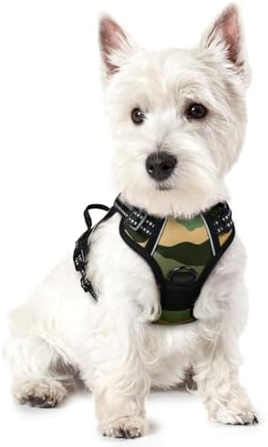 rabbitgoo Dog Harness, No Pull for Small Dogs by rabbitgoo