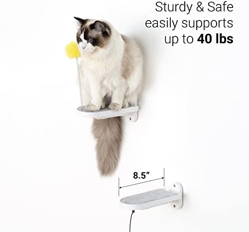 SVD.PET - Image 5