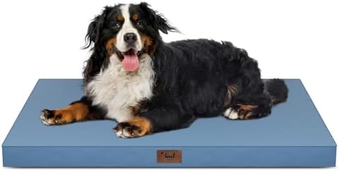 Outdoor Extra Large Dog Bed XXL by TailStories